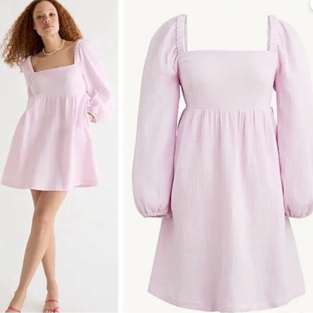 J crew Pink Long Sleeve Dress NWT small